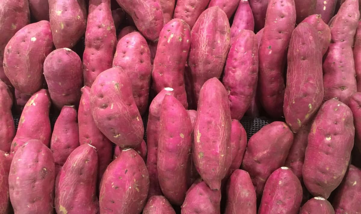 BATATA
