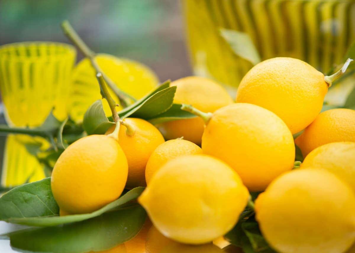 LIMÓN